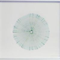 Anamorph - Work In Progress