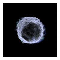 Euclidean Sequencer C