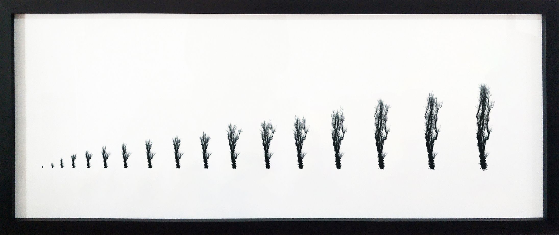 Forgetful Tree C