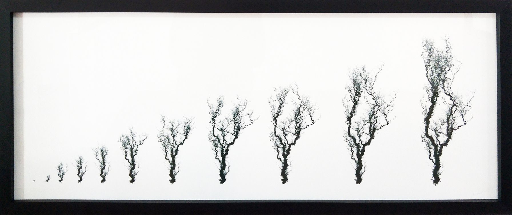 Forgetful Tree A