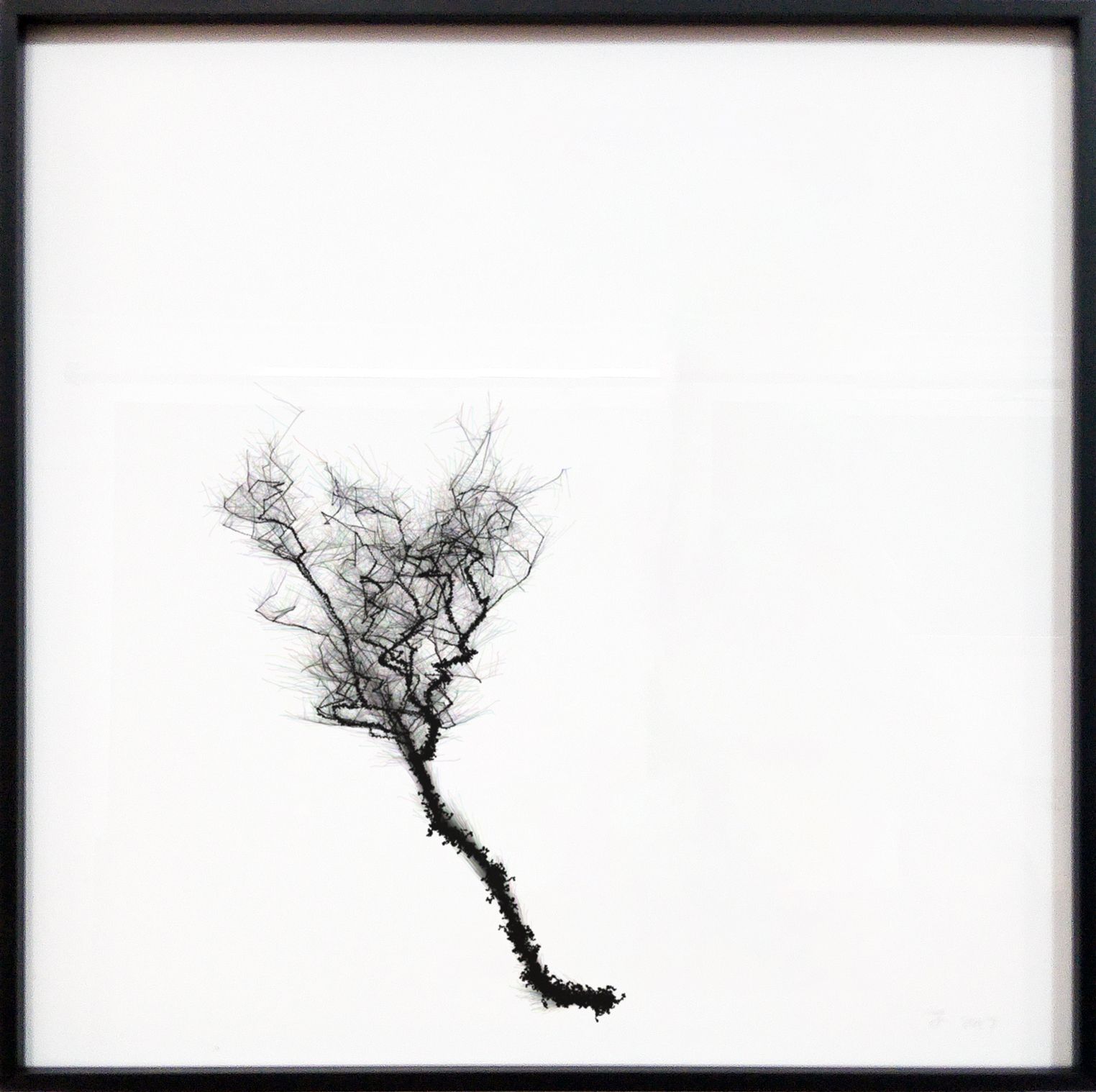 Forgetful Tree 1250 generations