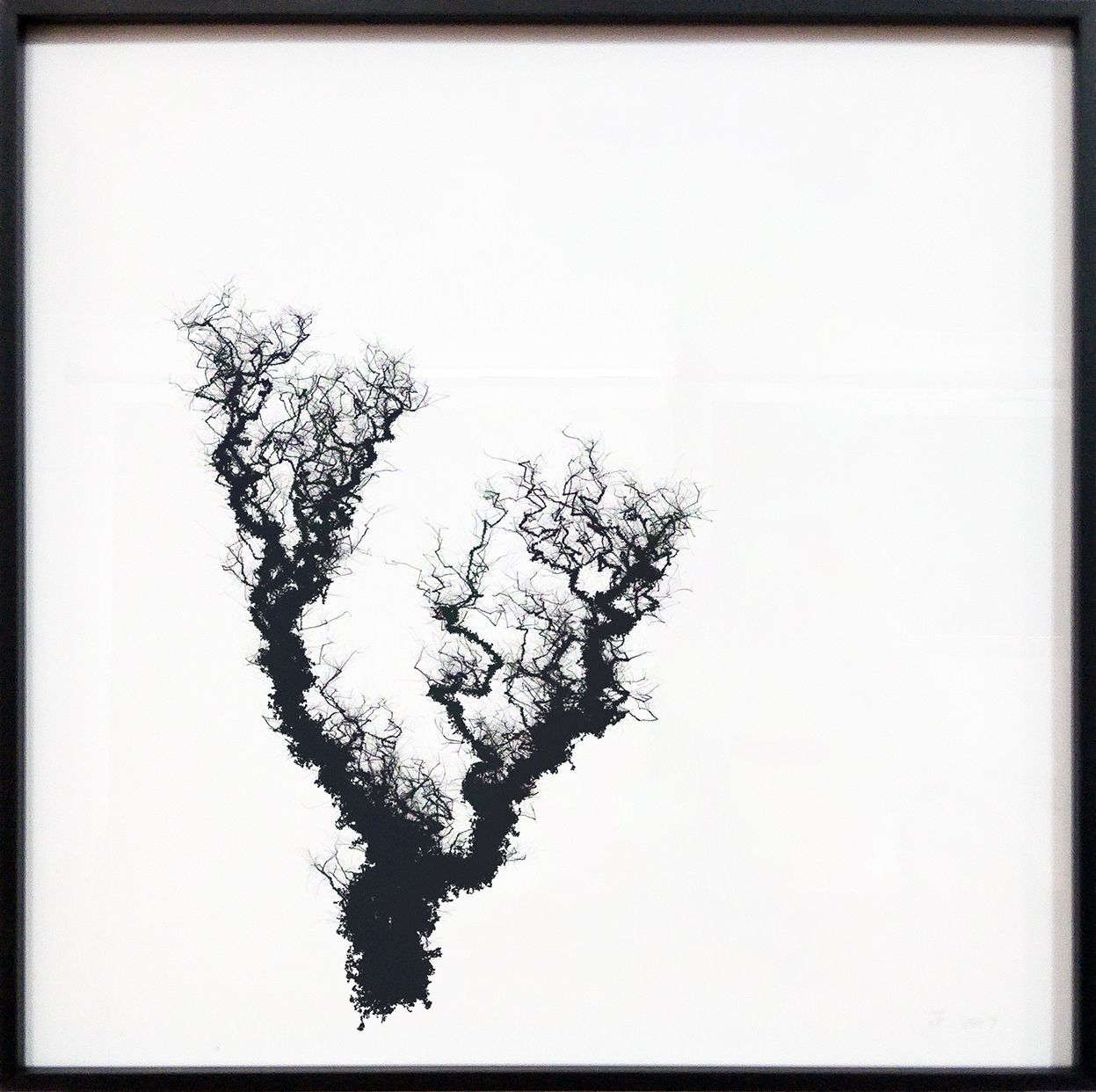 Forgetful Trees